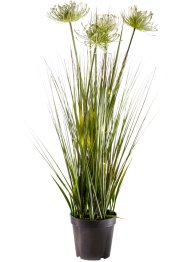 LED kunstplant met grassen, bpc living bonprix collection