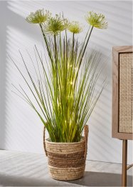 LED kunstplant met grassen, bpc living bonprix collection
