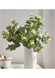 Kunstplant met eucalyptusbladeren, bpc living bonprix collection