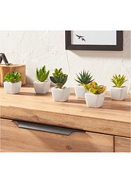 Kunstplanten (6-dlg. set), bpc living bonprix collection