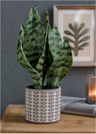 Kunstplant in pot, bpc living bonprix collection