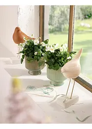 Sierpot (set van 2), bonprix