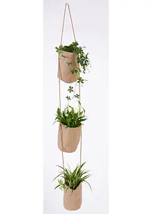 Plantenhouder voor 3 planten, bonprix