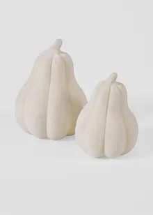 Decoratieve pompoenen (2-dlg. set), bonprix