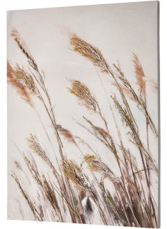 Schilderij met grassen, bpc living bonprix collection