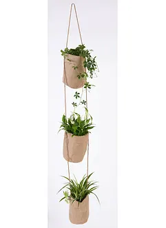 Plantenhouder voor 3 planten, bonprix