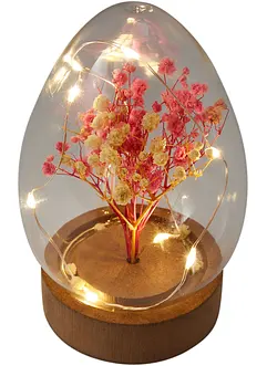 LED ornament ei met gedroogde bloemen, bonprix