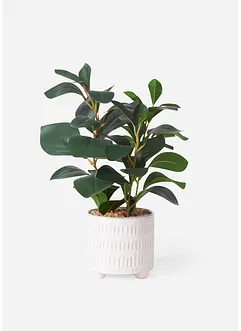 Kunstplant in pot, bonprix