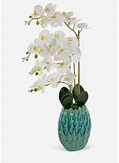 Kunstmatige orchidee plant, bonprix