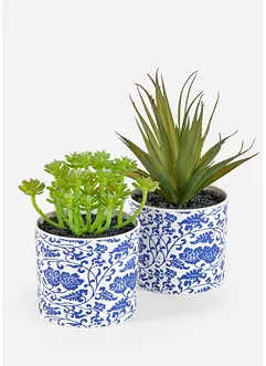 Kunstplant vetplanten in pot (set van 2), bonprix