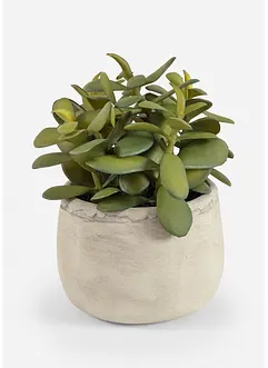 Kunstplant in pot, bonprix