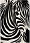 Wasbaar vloerkleed met zebra, bpc living bonprix collection