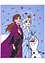 Wasbaar vloerkleed met Disney Frozen, Disney
