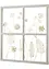 Wanddecoratie met bloemen en grassen, bpc living bonprix collection