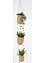 Plantenhouder voor 3 planten, bonprix