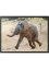 Deurmat met olifant, bpc living bonprix collection