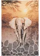 Vloerkleed met olifant, bpc living bonprix collection
