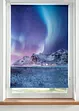 Verduisterend rolgordijn met fotoprint, bpc living bonprix collection